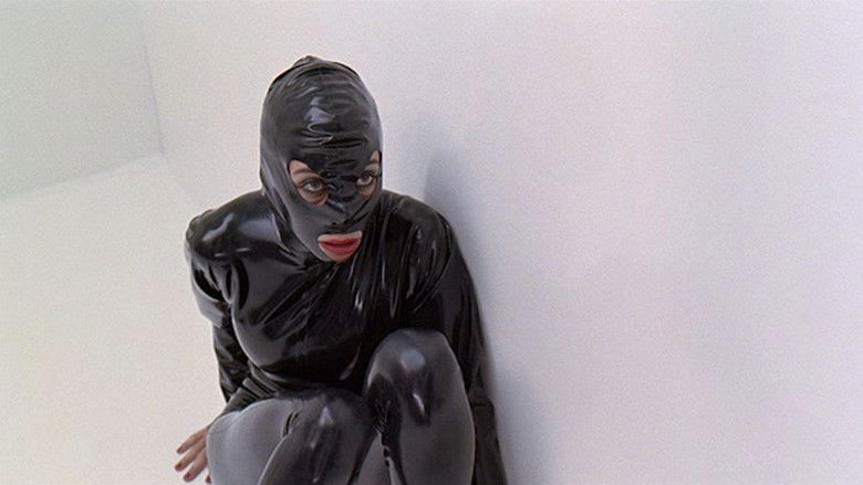 кадр из фильма Библиотека Паскаля