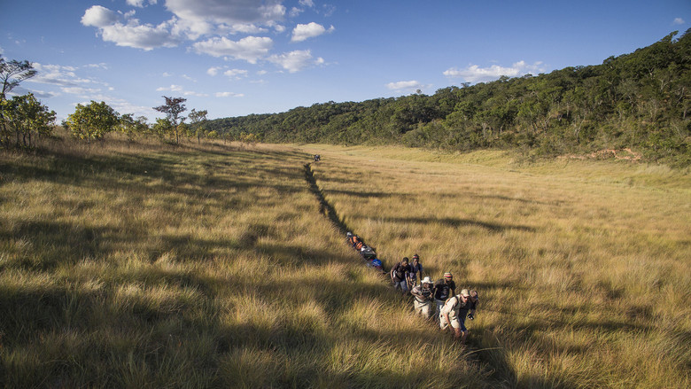 кадр из фильма В Окаванго
