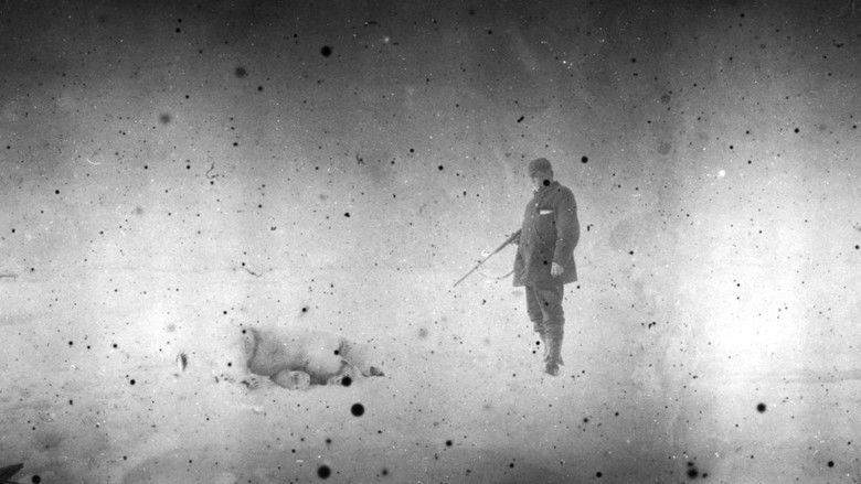 кадр из фильма Tombeau de glace