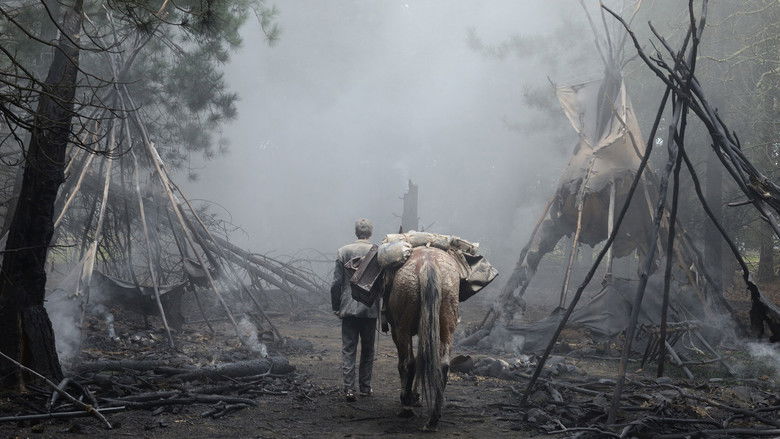 кадр из фильма Строго на запад