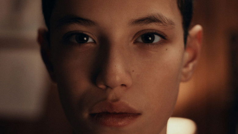 кадр из фильма Wonder