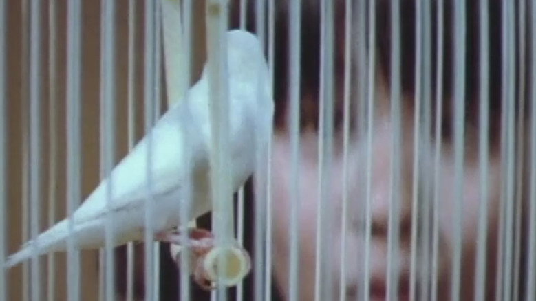 кадр из фильма 女刑務所 ザ・私刑