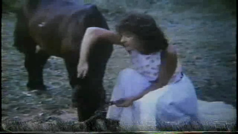 кадр из фильма Júlia E os Pôneis