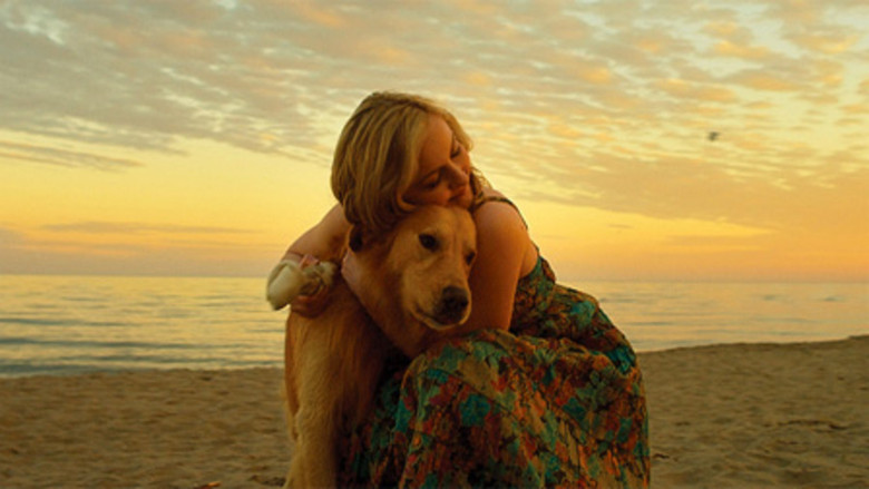 кадр из фильма Good Boy