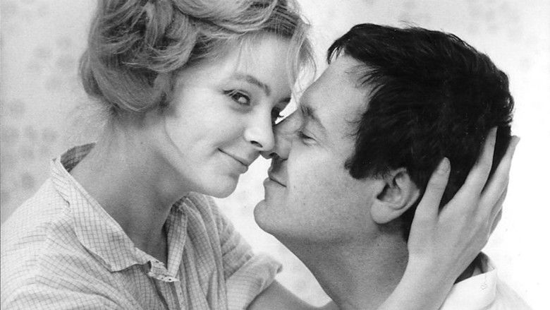 кадр из фильма Alle Jahre wieder