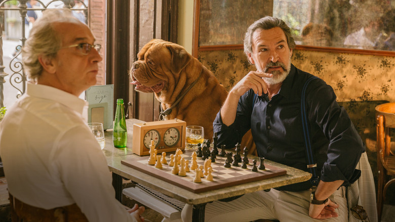 кадр из фильма La maldición del guapo