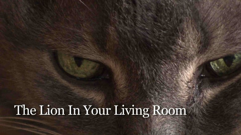 кадр из фильма The Lion In Your Living Room