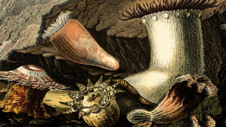 кадр из фильма Homenaje a la obra de Philip Henry Gosse