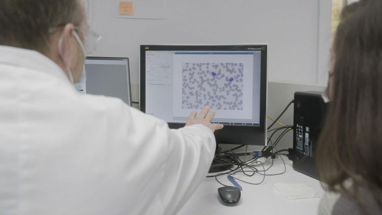 кадр из фильма Climat déréglé, santé en danger