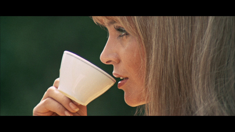 кадр из фильма Венера в мехах