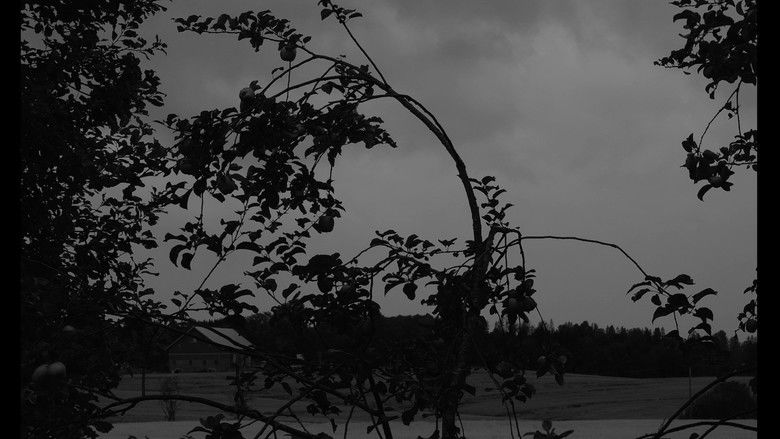 кадр из фильма Dasein