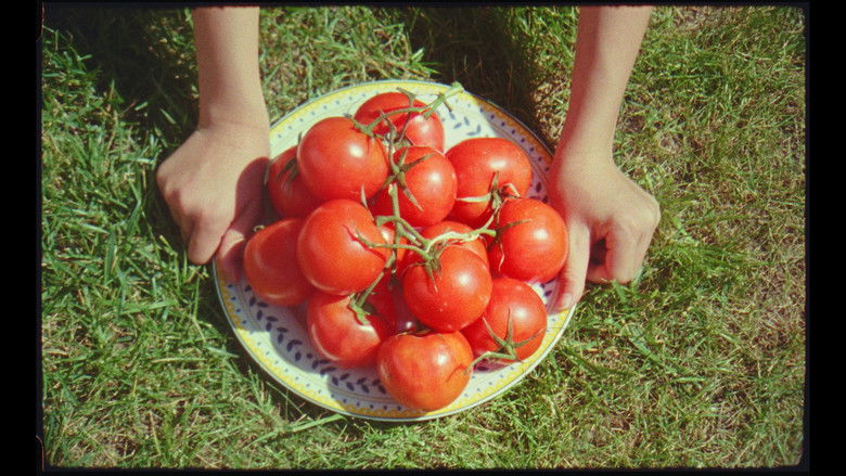 кадр из фильма Heirloom