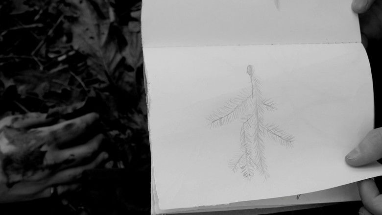 кадр из фильма A New War Film