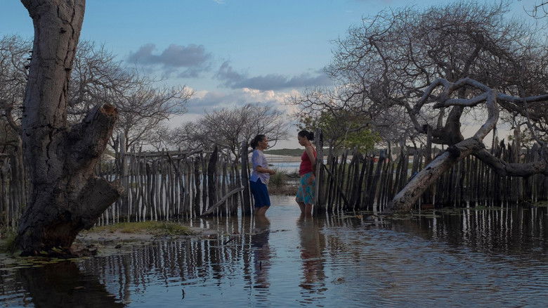 кадр из фильма Betânia