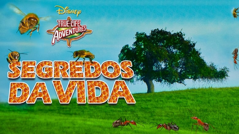 кадр из фильма Secrets of Life