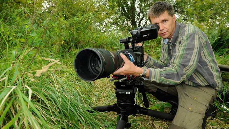 кадр из фильма Wolf