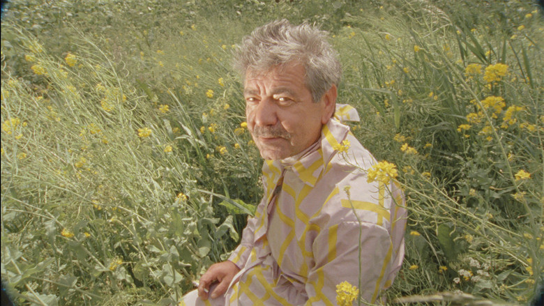 кадр из фильма BABA