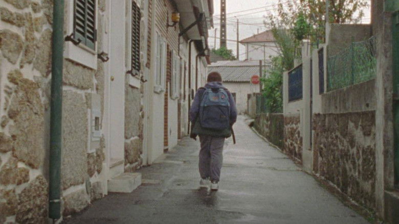 кадр из фильма Campos Belos