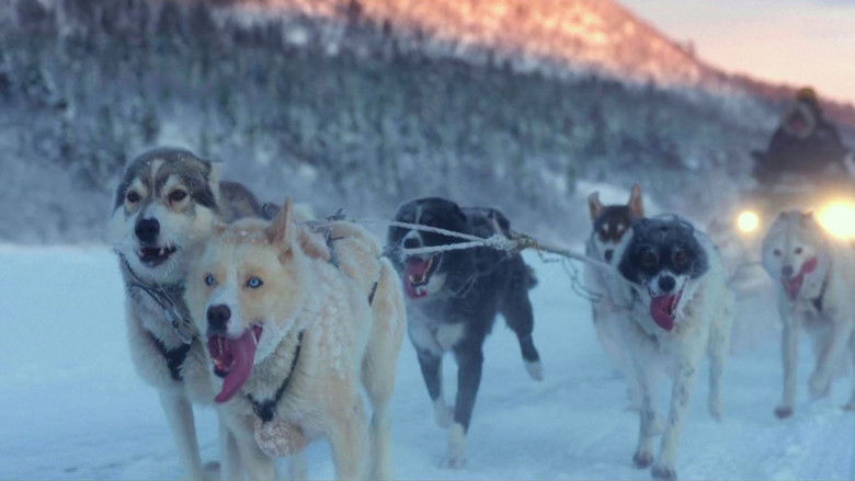 кадр из фильма Folktales