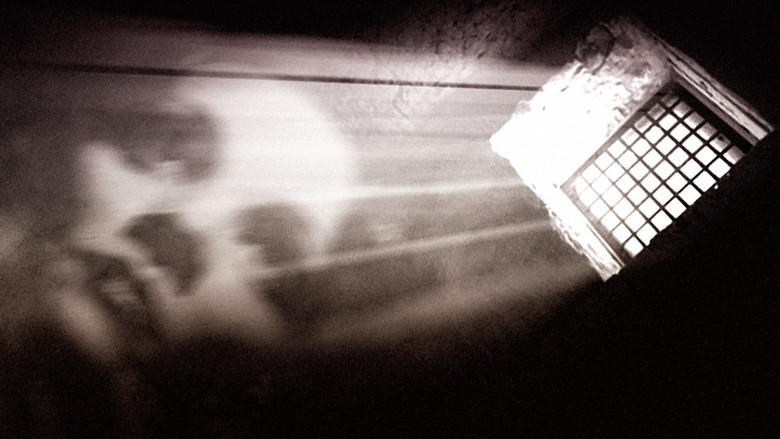 кадр из фильма Поцелуй женщины-паука