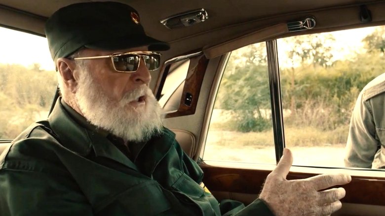 кадр из фильма Дорогой диктатор