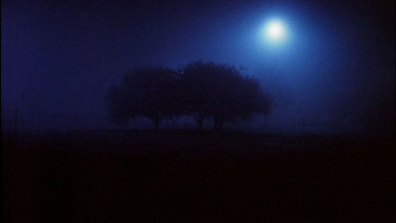 кадр из фильма In Order Not to Be Here