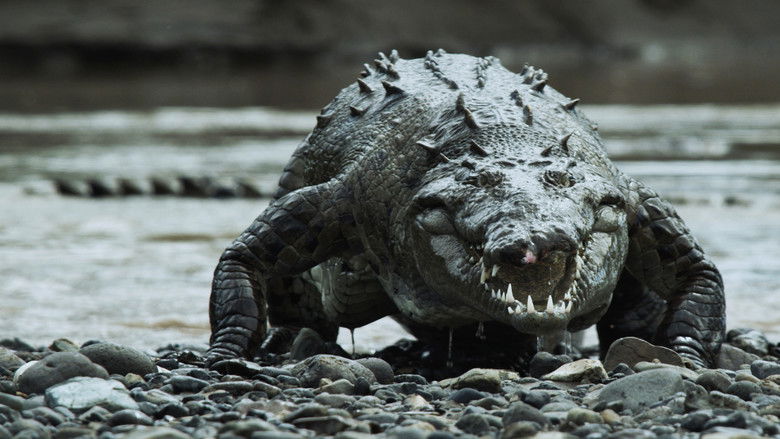 кадр из фильма Monster Croc Invasion