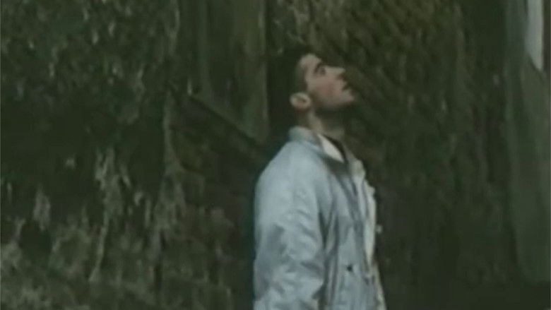 кадр из фильма Paranoja