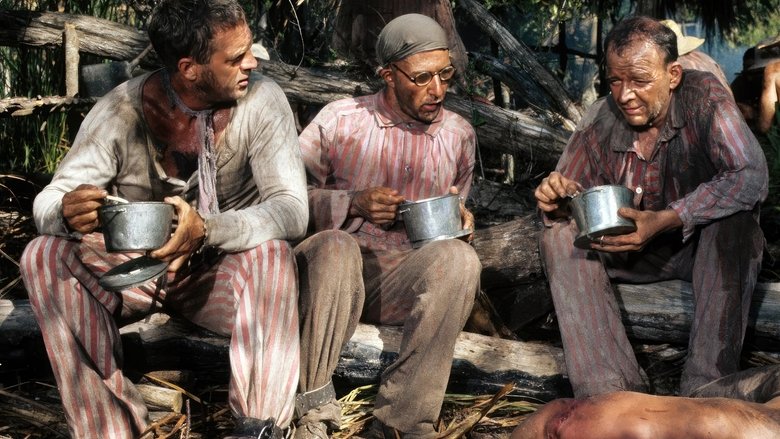 кадр из фильма Мотылёк