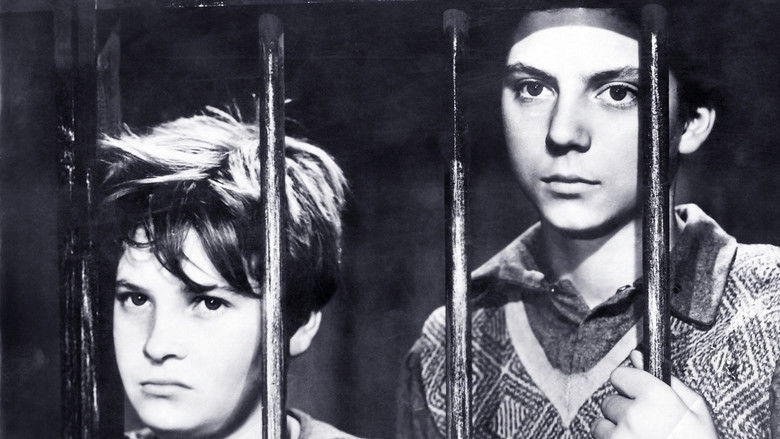 кадр из фильма Шуша