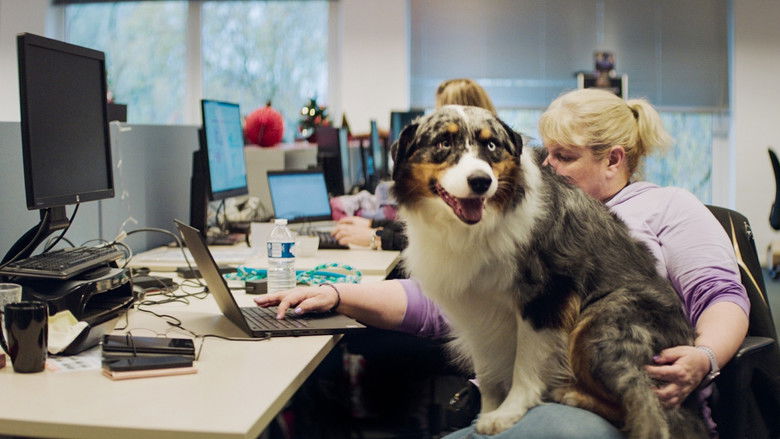 кадр из фильма De kantoorhond