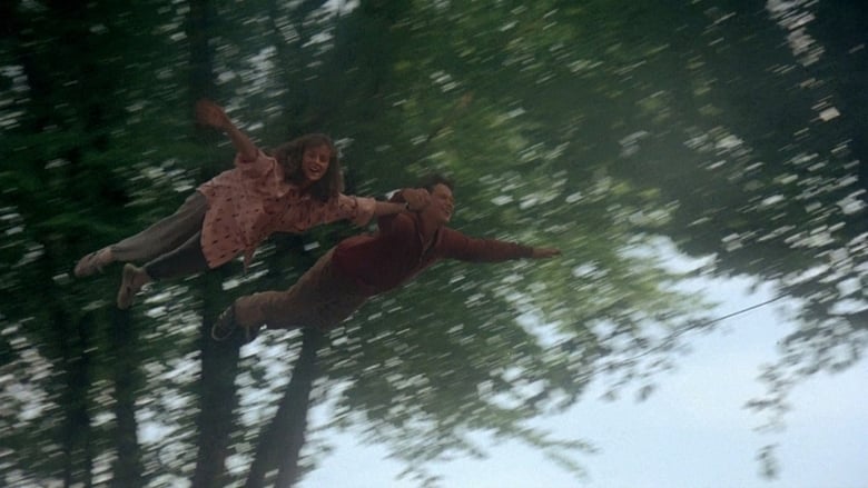 кадр из фильма Мальчик, который умел летать