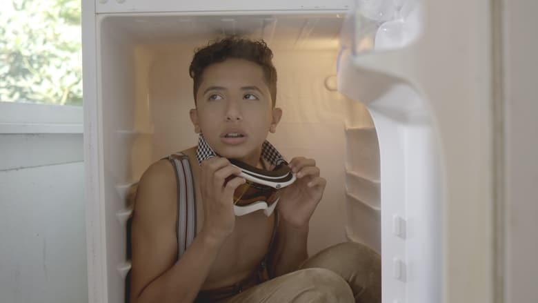 кадр из фильма De IJslandbende