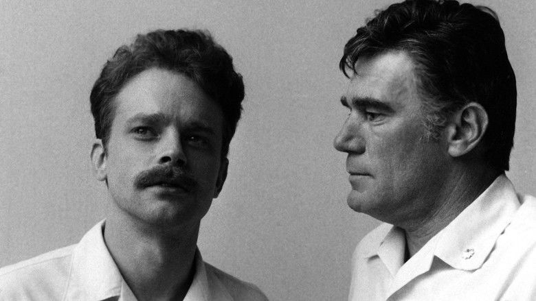 Сержант Матлович против ВВС США