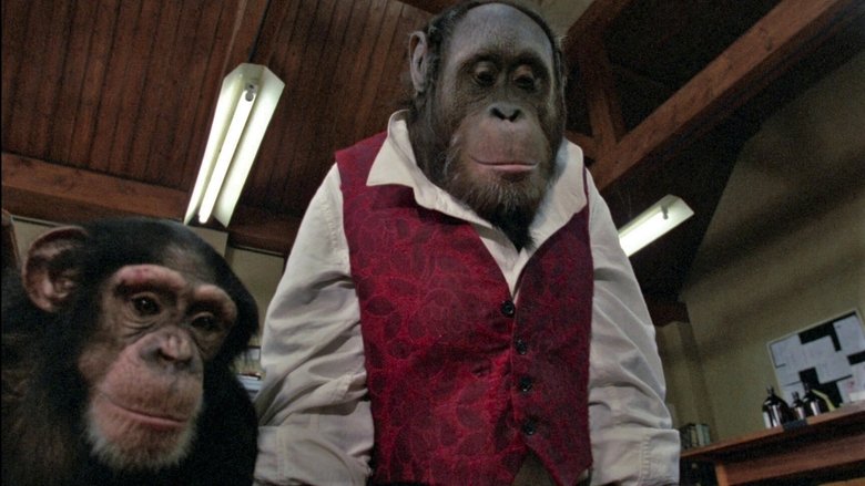 кадр из фильма Линк