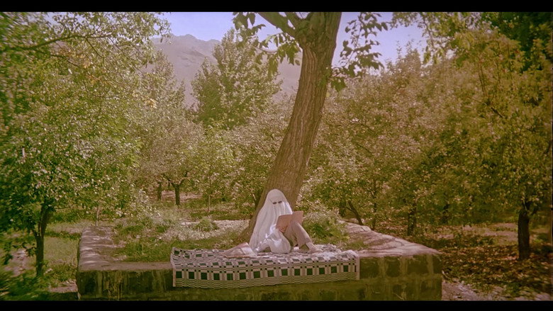 кадр из фильма درخت گلابی