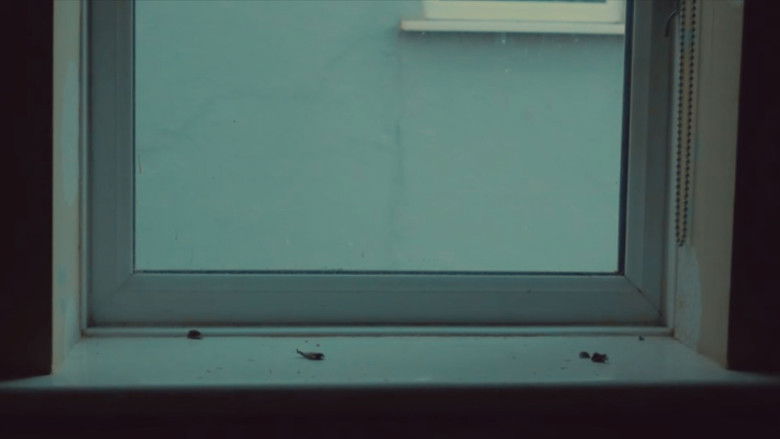 кадр из фильма It's how we all feel