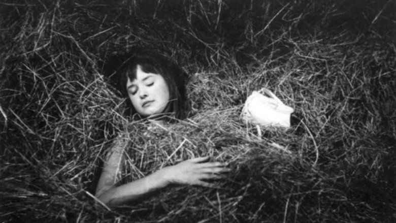 кадр из фильма Panenství a kriminál