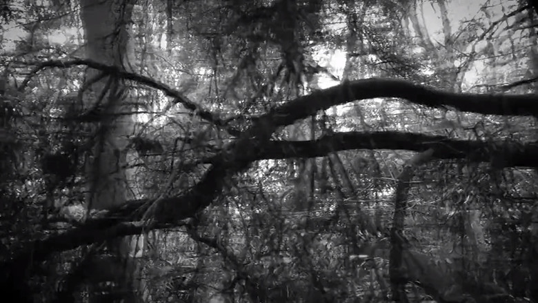 кадр из фильма In My Mind