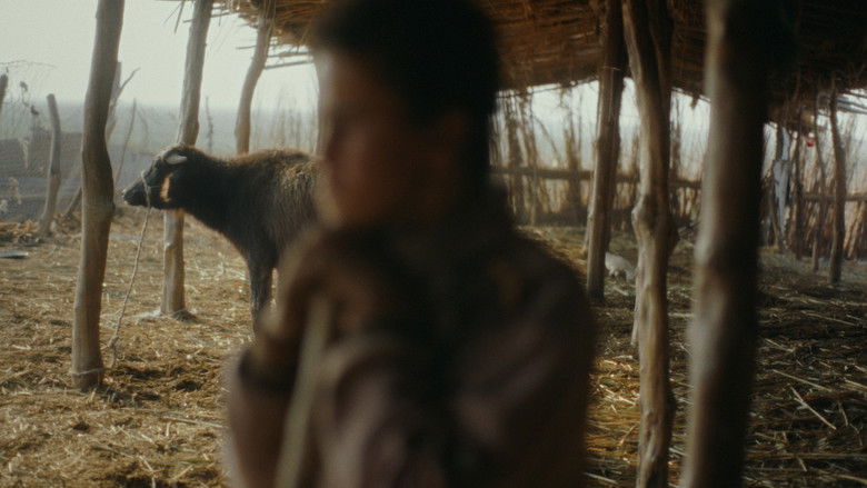 кадр из фильма ابراهيم