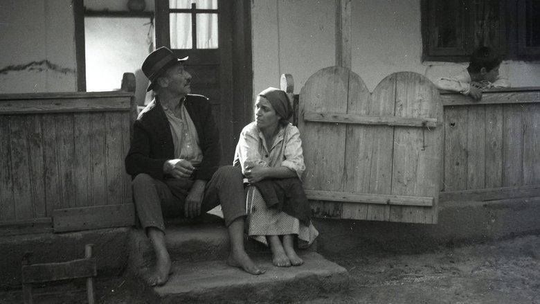 кадр из фильма Moromeții