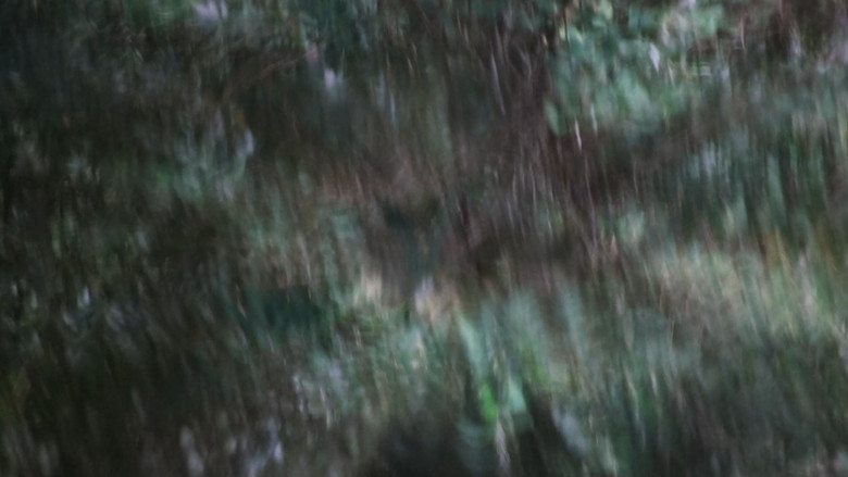 кадр из фильма Arma de Luz