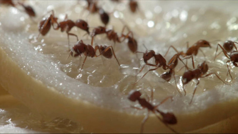 кадр из фильма Almost Not Beautiful