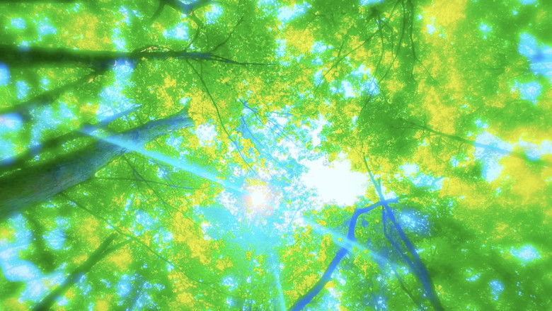 кадр из фильма ULTRA SOMNIUM