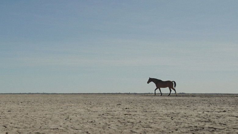 Guided by Horses