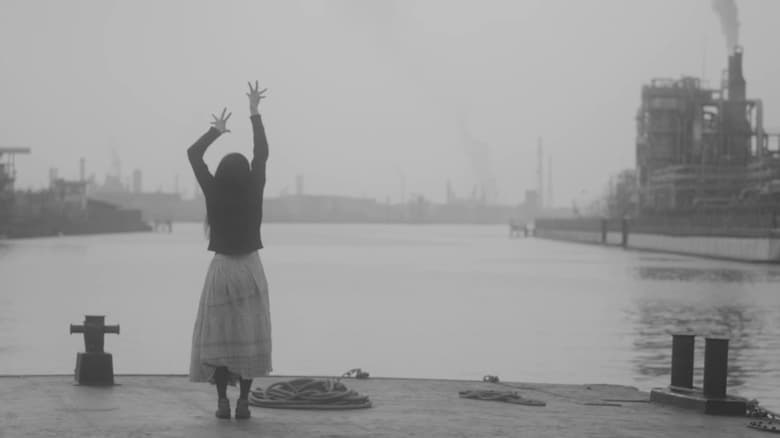 кадр из фильма 星座