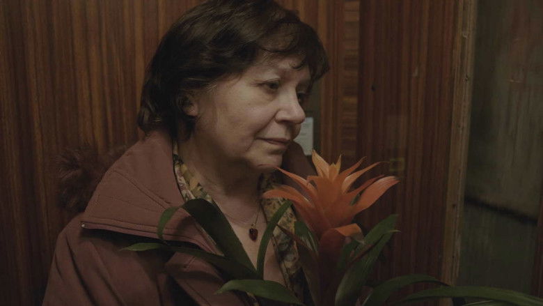 кадр из фильма Last Call