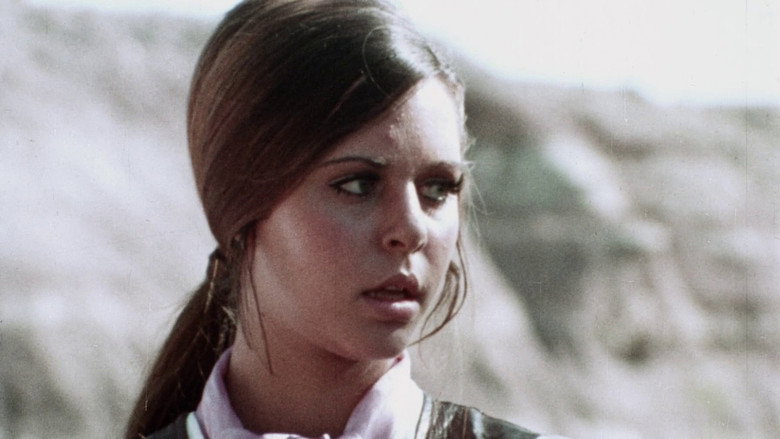 кадр из фильма The Female Bunch