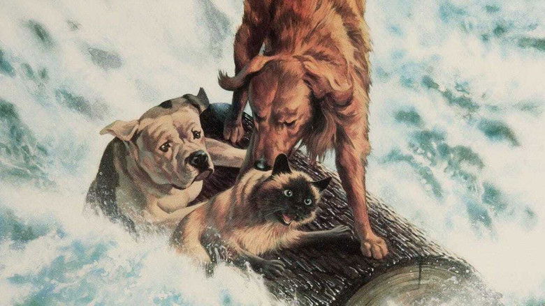 кадр из фильма Дорога домой: Невероятное путешествие