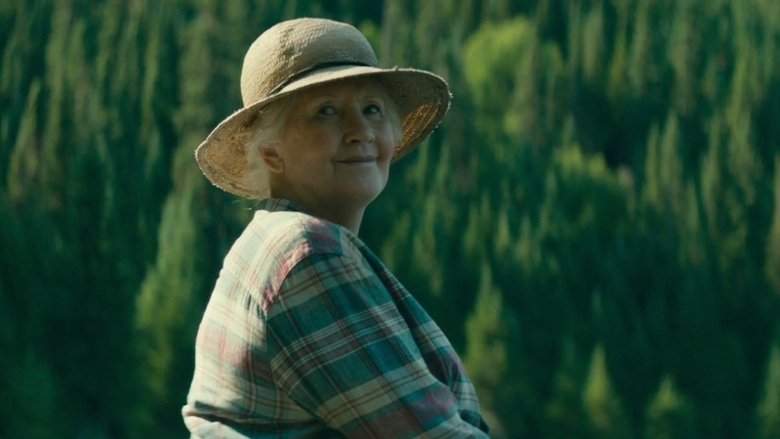 кадр из фильма Птицы падали дождем